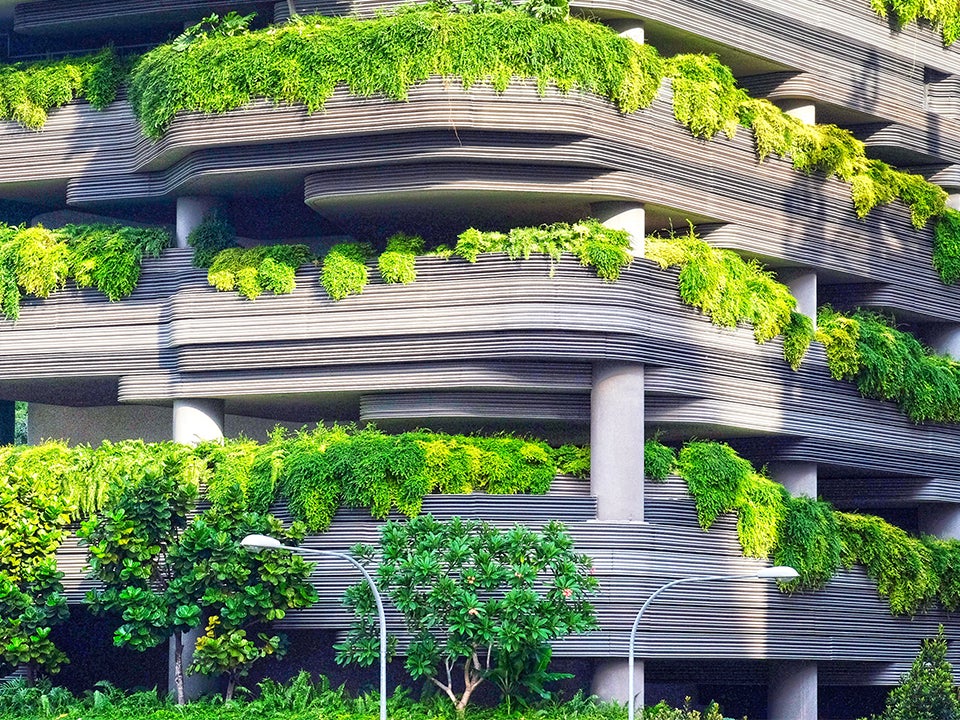 ENVDES 8L - FLD 102 DISC: Design & Innovation for Sustainable Cities more detail
